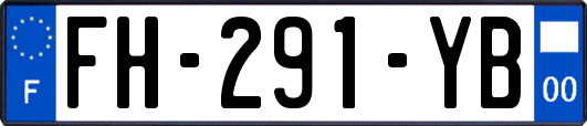 FH-291-YB