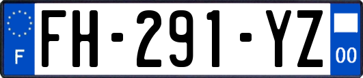 FH-291-YZ