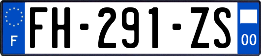 FH-291-ZS