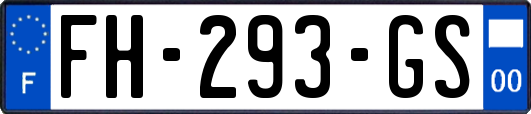 FH-293-GS