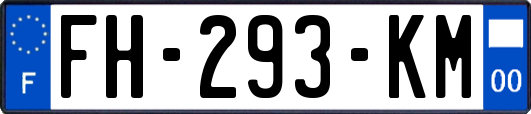 FH-293-KM