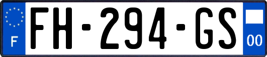 FH-294-GS
