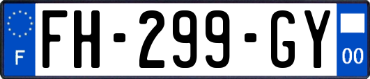 FH-299-GY