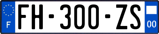 FH-300-ZS