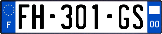FH-301-GS