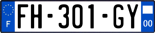FH-301-GY
