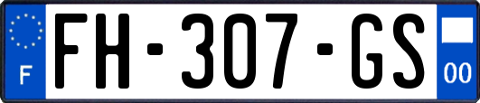 FH-307-GS