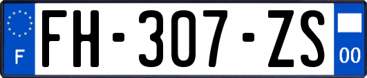 FH-307-ZS