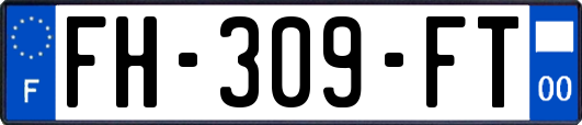 FH-309-FT