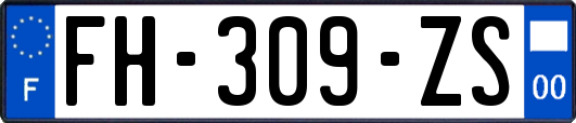 FH-309-ZS