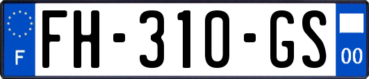 FH-310-GS