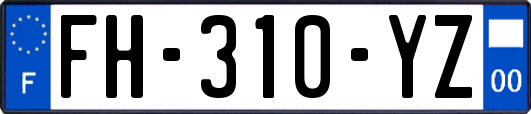 FH-310-YZ