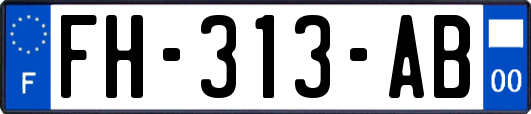 FH-313-AB