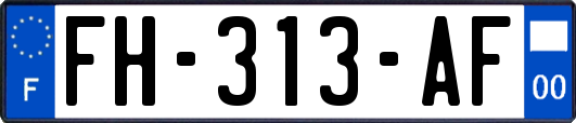 FH-313-AF