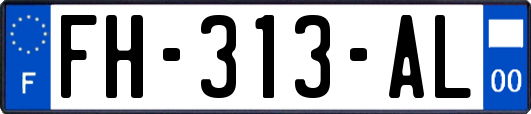 FH-313-AL