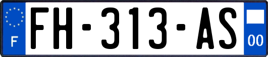 FH-313-AS