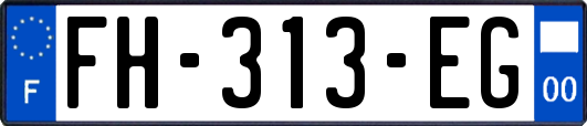 FH-313-EG