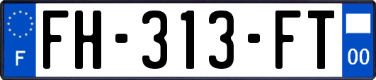 FH-313-FT