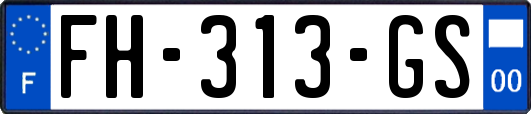 FH-313-GS