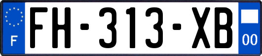 FH-313-XB