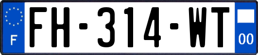 FH-314-WT