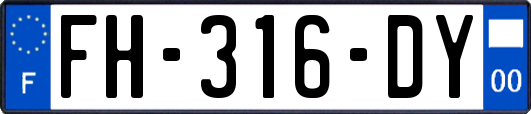 FH-316-DY