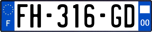 FH-316-GD