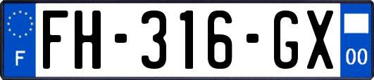 FH-316-GX
