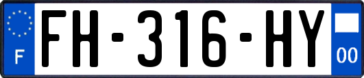FH-316-HY