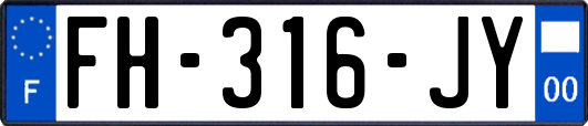 FH-316-JY