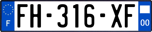 FH-316-XF