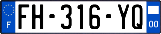 FH-316-YQ