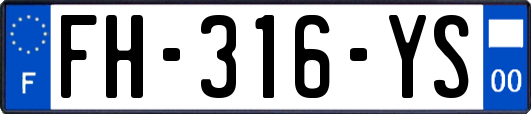 FH-316-YS