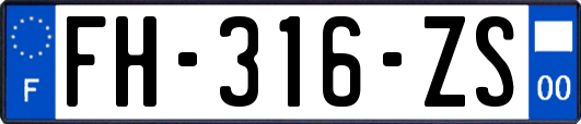 FH-316-ZS