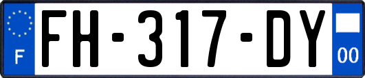 FH-317-DY