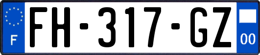 FH-317-GZ