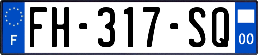 FH-317-SQ
