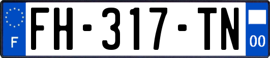 FH-317-TN
