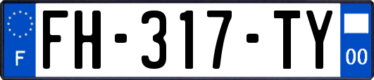 FH-317-TY