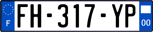 FH-317-YP
