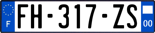 FH-317-ZS