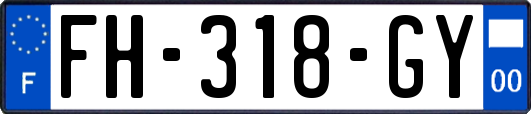 FH-318-GY