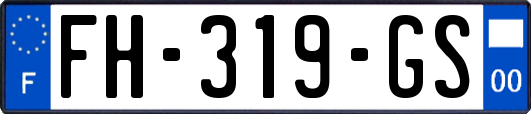 FH-319-GS