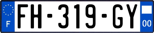 FH-319-GY