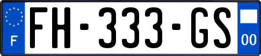 FH-333-GS