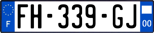 FH-339-GJ