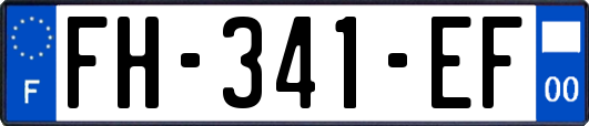 FH-341-EF