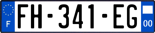 FH-341-EG