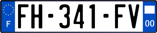 FH-341-FV