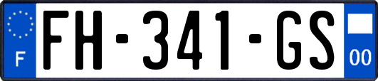 FH-341-GS